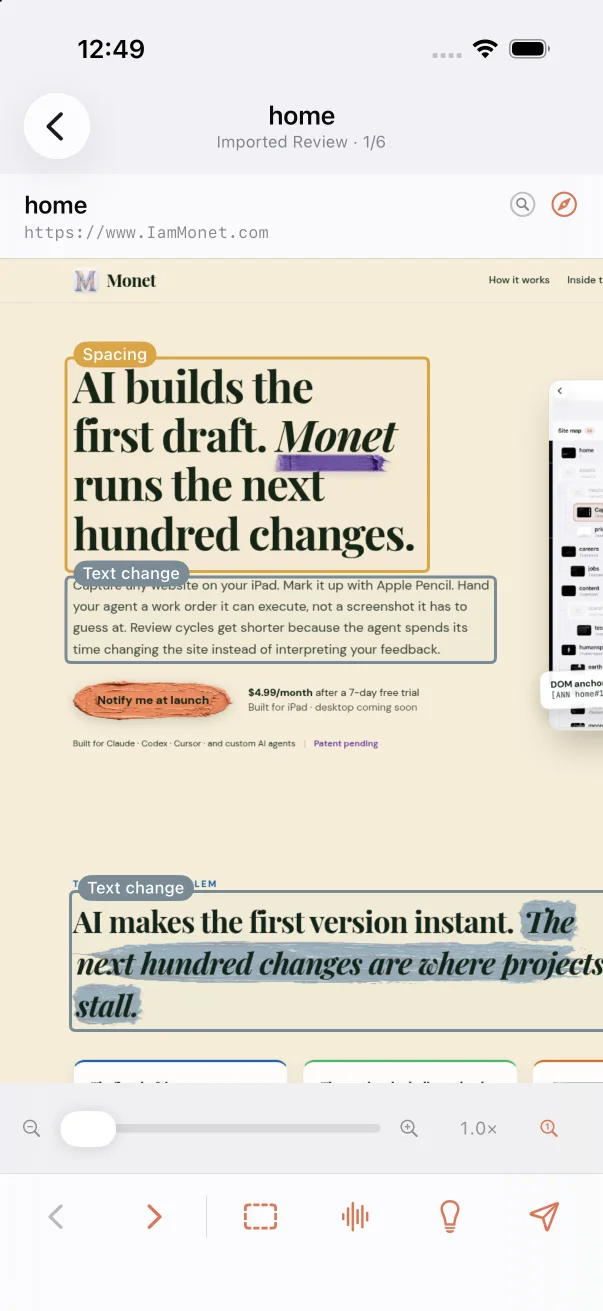Monet on iPhone showing an imported website page with review controls for marking, dictating, page ideas, and sharing.